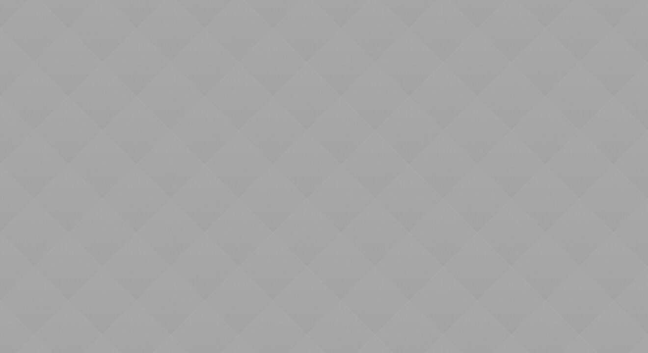 06 Book Presentation of Artist Novels